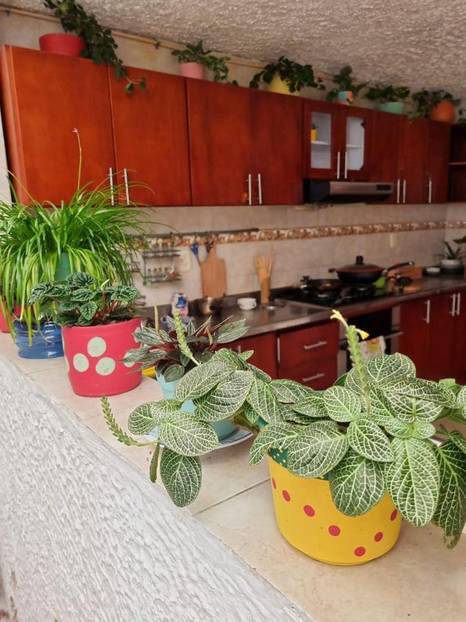 Tatami Hostel Bucaramanga Eksteriør billede