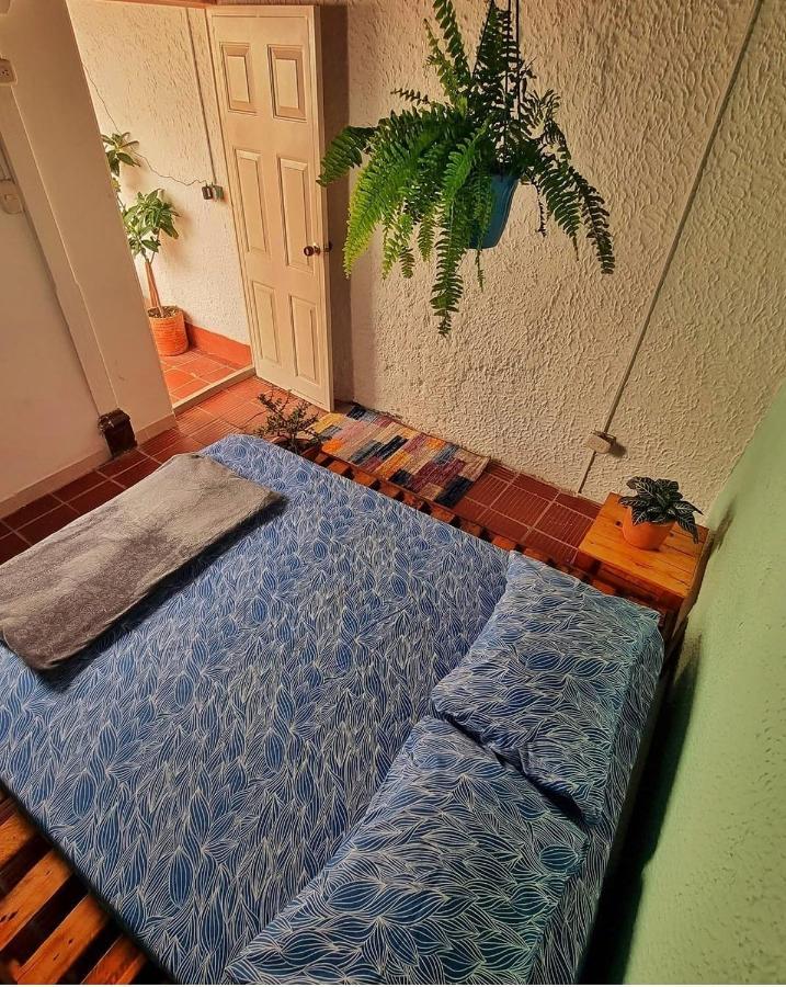 Tatami Hostel Bucaramanga Eksteriør billede