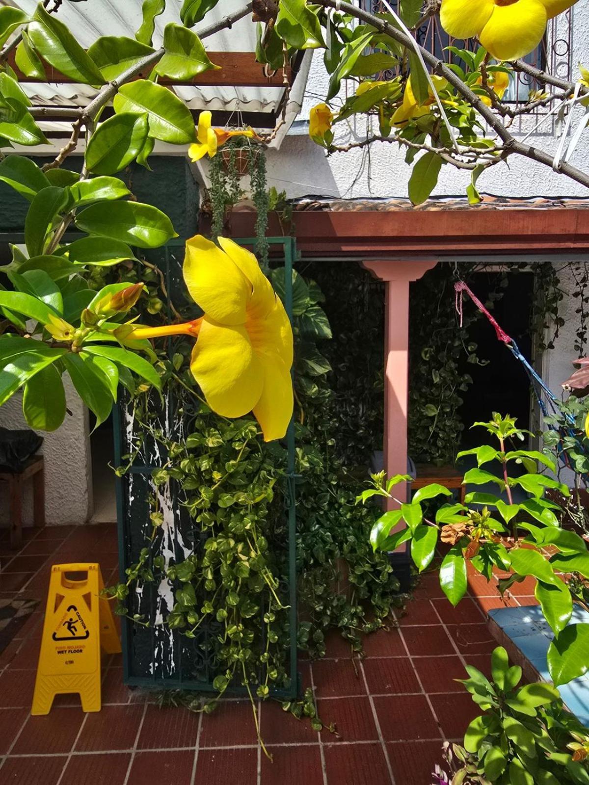 Tatami Hostel Bucaramanga Eksteriør billede